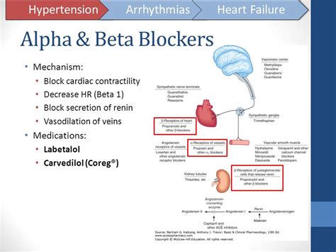 is coreg a beta blocker|Mayo Clinic Q and A: What time is best for blood pressure .
